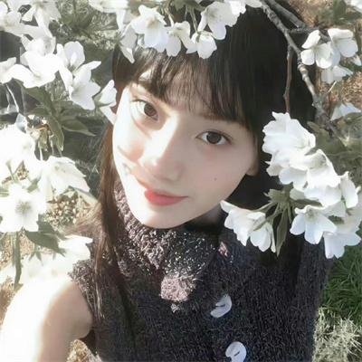 儍佬寻春